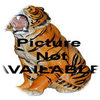 Small_1530548638-pna