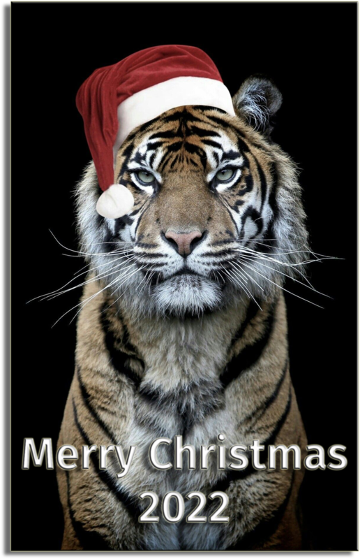 Tiger Christmas